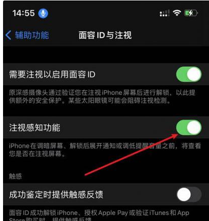 德州苹果14维修网点分享iPhone14注视感知功能有什么用 